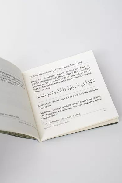 Open book with text on a white background