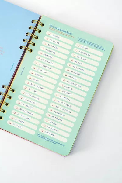 Open planner with a mint green cover on a white background