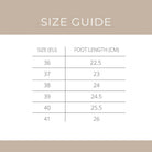 Size guide chart for Cajsa Aoki Champagne flat shoes with size EU and foot length in centimeters on a beige background